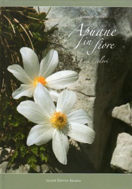 Apuane in Fiore - Luci e Colori