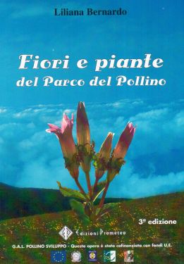 Fiori e piante del Parco del Pollino