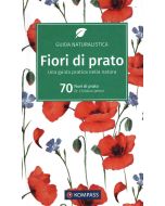 Fiori di prato