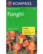 Funghi