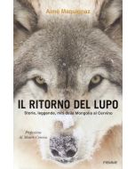 Il ritorno del lupo