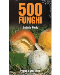 500 funghi