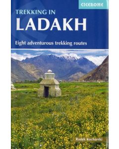 Trekking in Ladakh