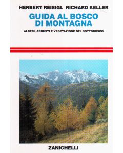 Guida al bosco di montagna