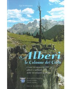 Alberi Le colonne del cielo