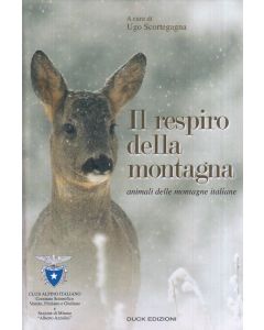 Il respiro della montagna