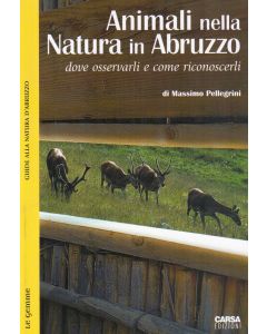 Animali nella natura in Abruzzo