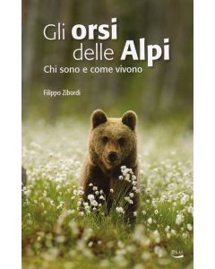 Gli orsi delle Alpi