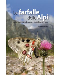 Le farfalle delle Alpi