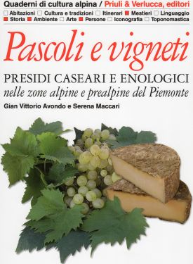 Pascoli e vigneti